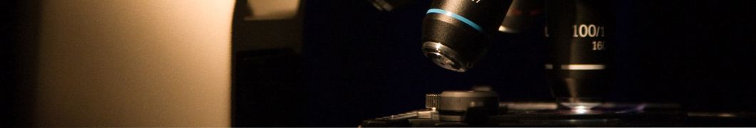 Custom Structural Testing Load Pins for Research Education